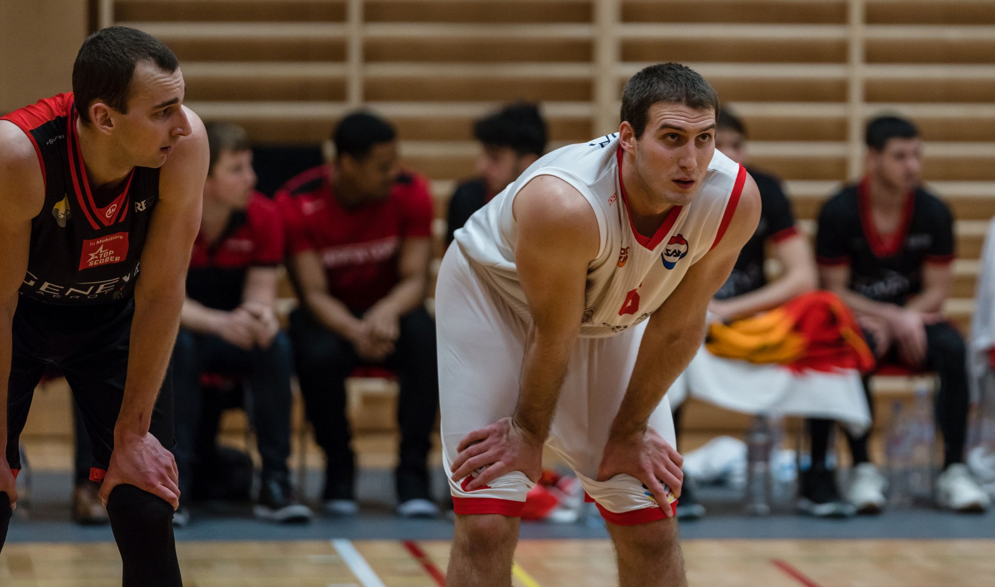Basket: Les Riviera Lakers engagent un pivot serbe pour la fin de saison
